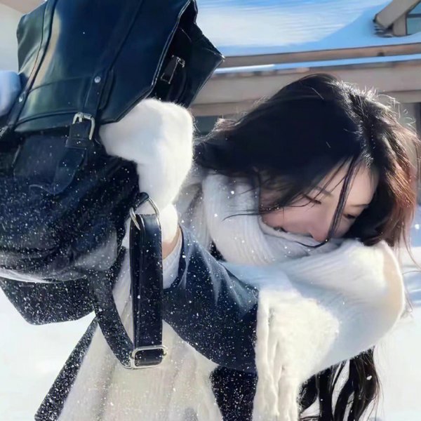 龙号机车