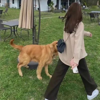 现代豪侠传
